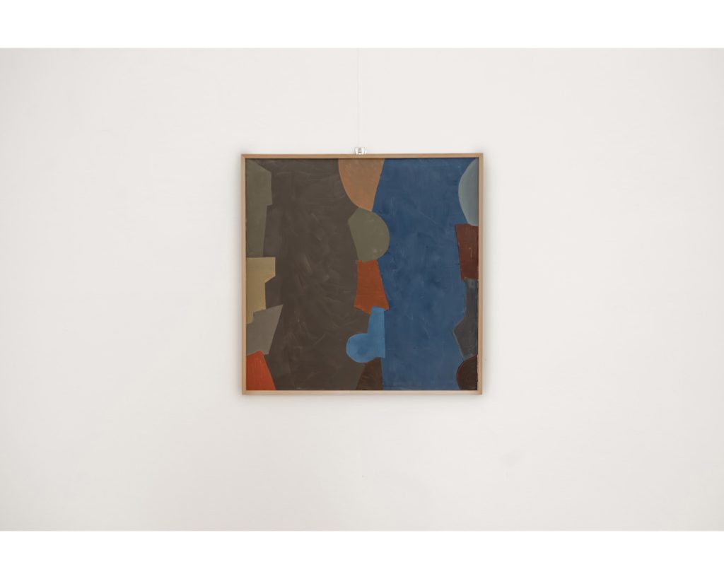 F19_Guido De Zan